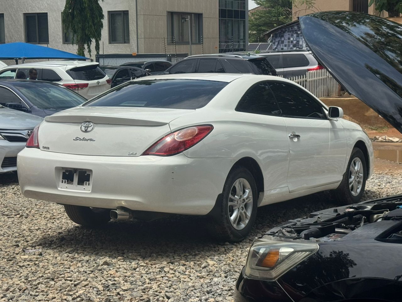 EXTREMELY NEATLY USED  2004 TOYOTA SOLARA