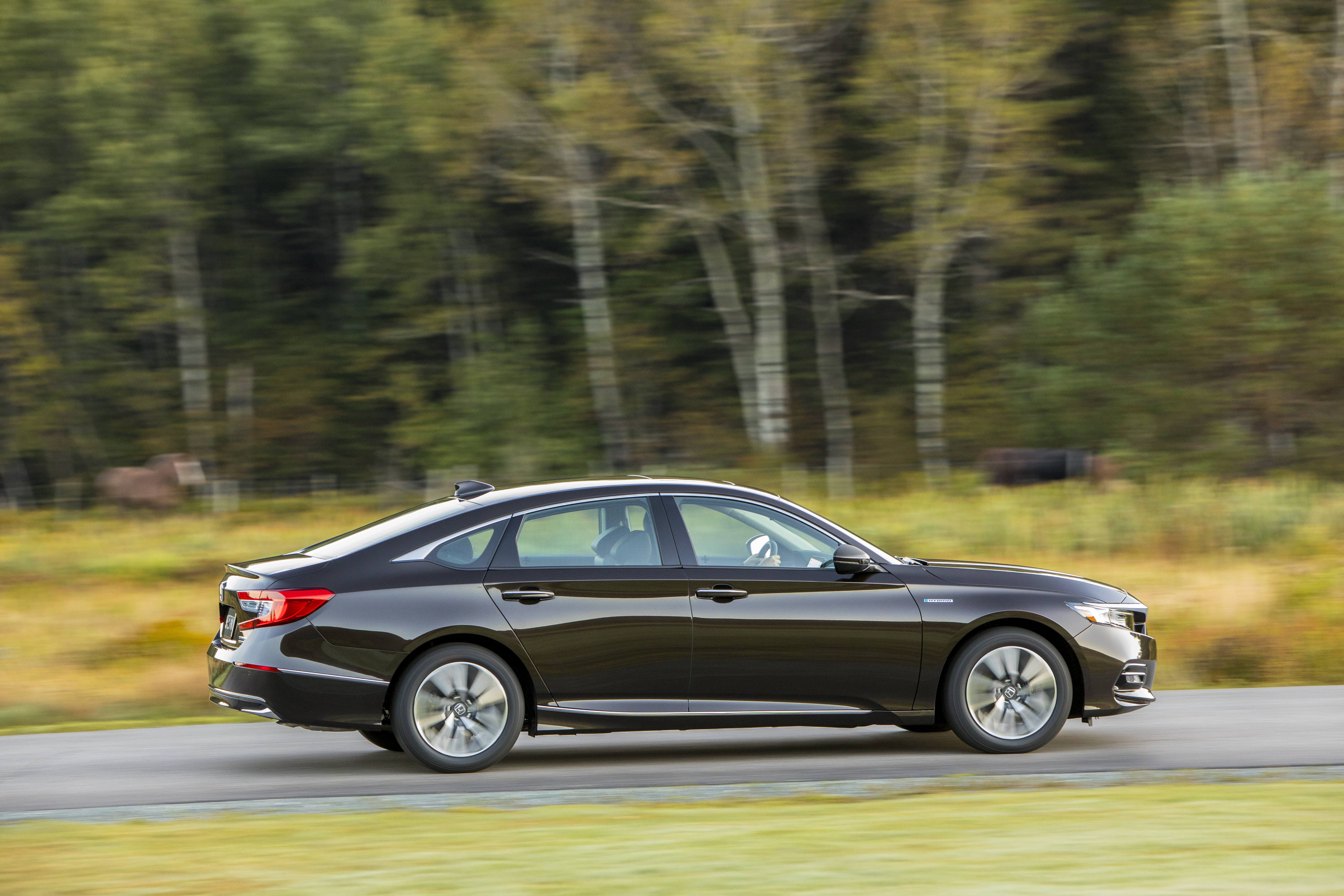  Honda Accord-hybrid 