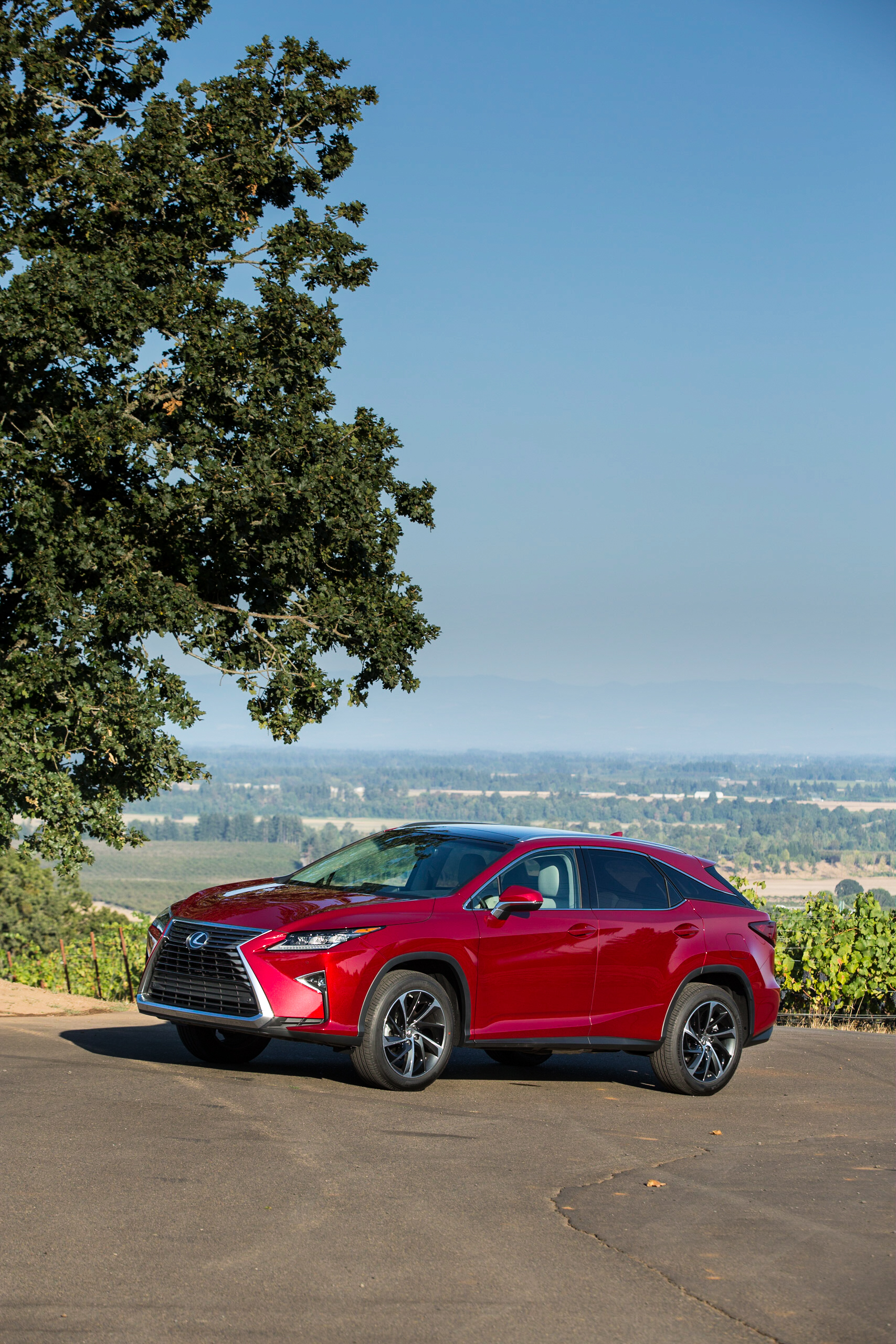  Lexus RX 350 