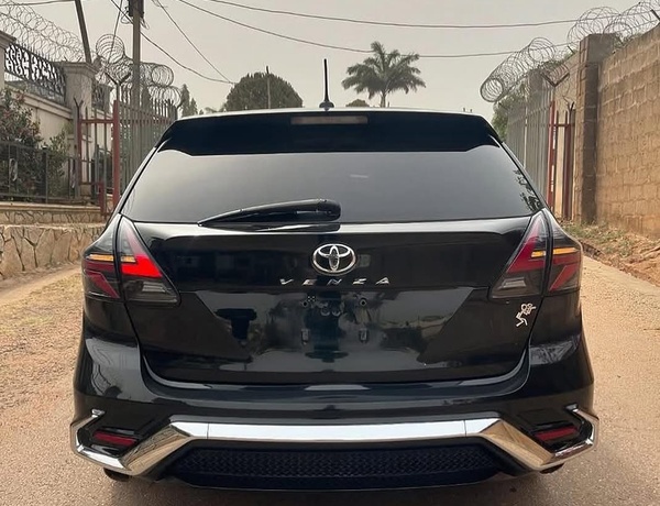 UNIQUE 2010 TOYOTA VENZA
